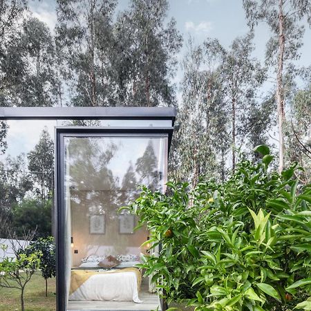 Villa No Jardim Dos Aromas Gião Exteriér fotografie